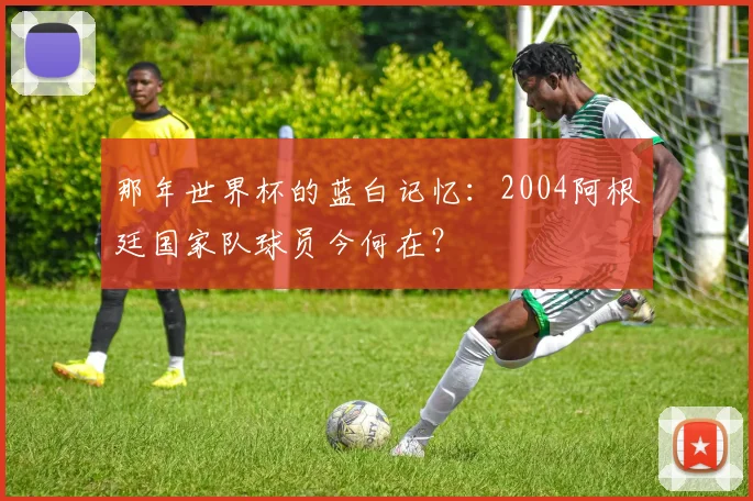 那年世界杯的蓝白记忆：2004阿根廷国家队球员今何在？