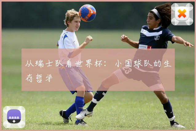 从瑞士队看世界杯：小国球队的生存哲学