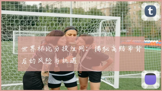世界杯比分投注网：揭秘高赔率背后的风险与机遇