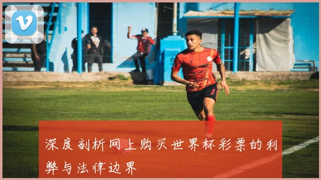 深度剖析网上购买世界杯彩票的利弊与法律边界