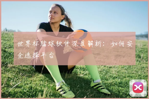 世界杯赌球软件深度解析:如何安全选择平台