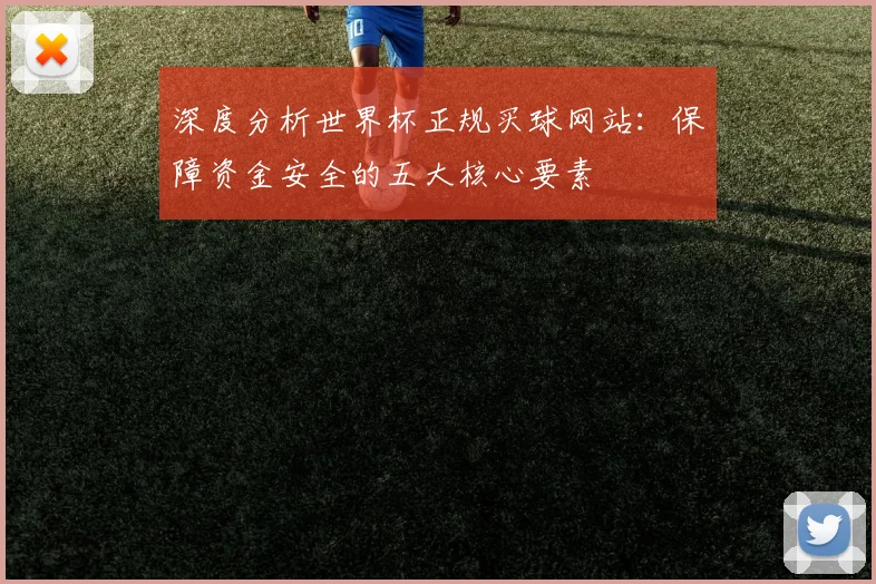深度分析世界杯正规买球网站：保障资金安全的五大核心要素