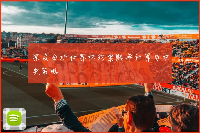 深度分析世界杯彩票赔率计算与中奖策略