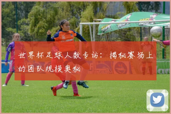 世界杯足球人数专访:揭秘赛场上的团队规模奥秘