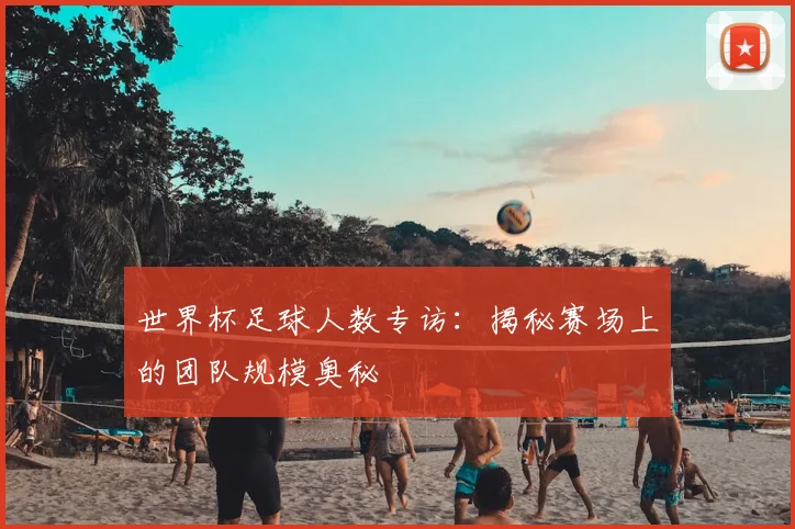 世界杯足球人数专访:揭秘赛场上的团队规模奥秘