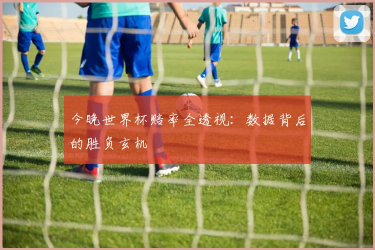 今晚世界杯赔率全透视：数据背后的胜负玄机